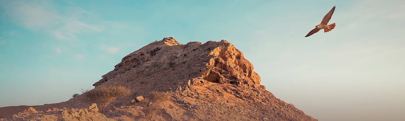 Slider  Equity Markets