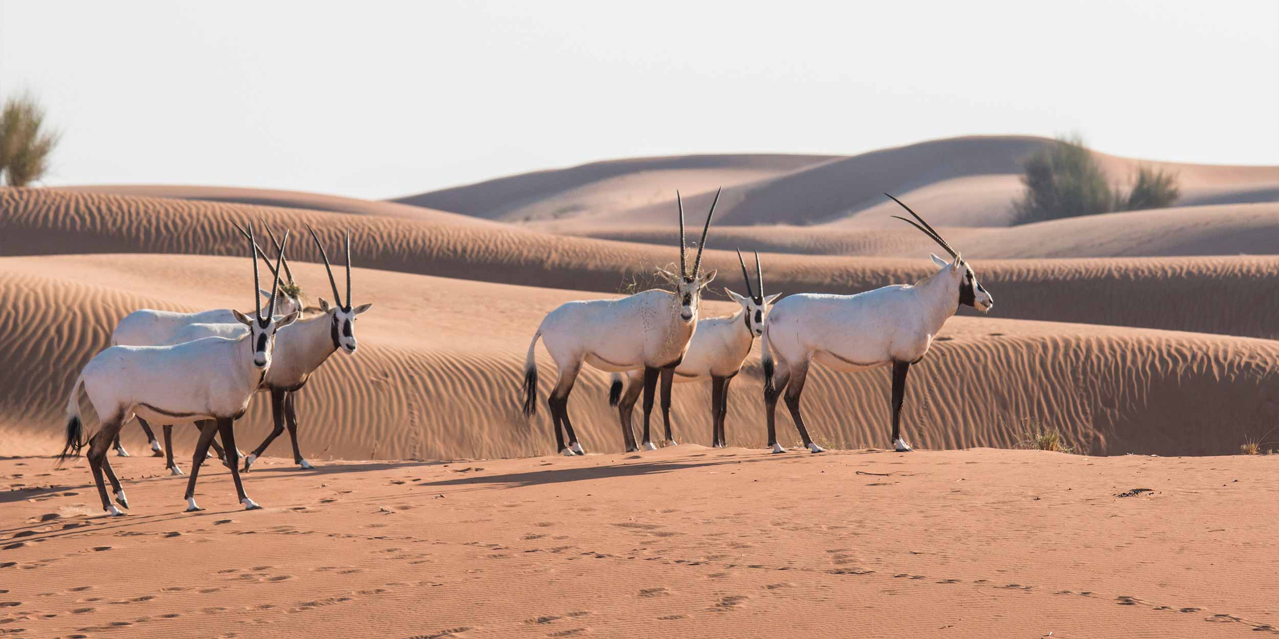 BannerWithHighLights  Community Engagement