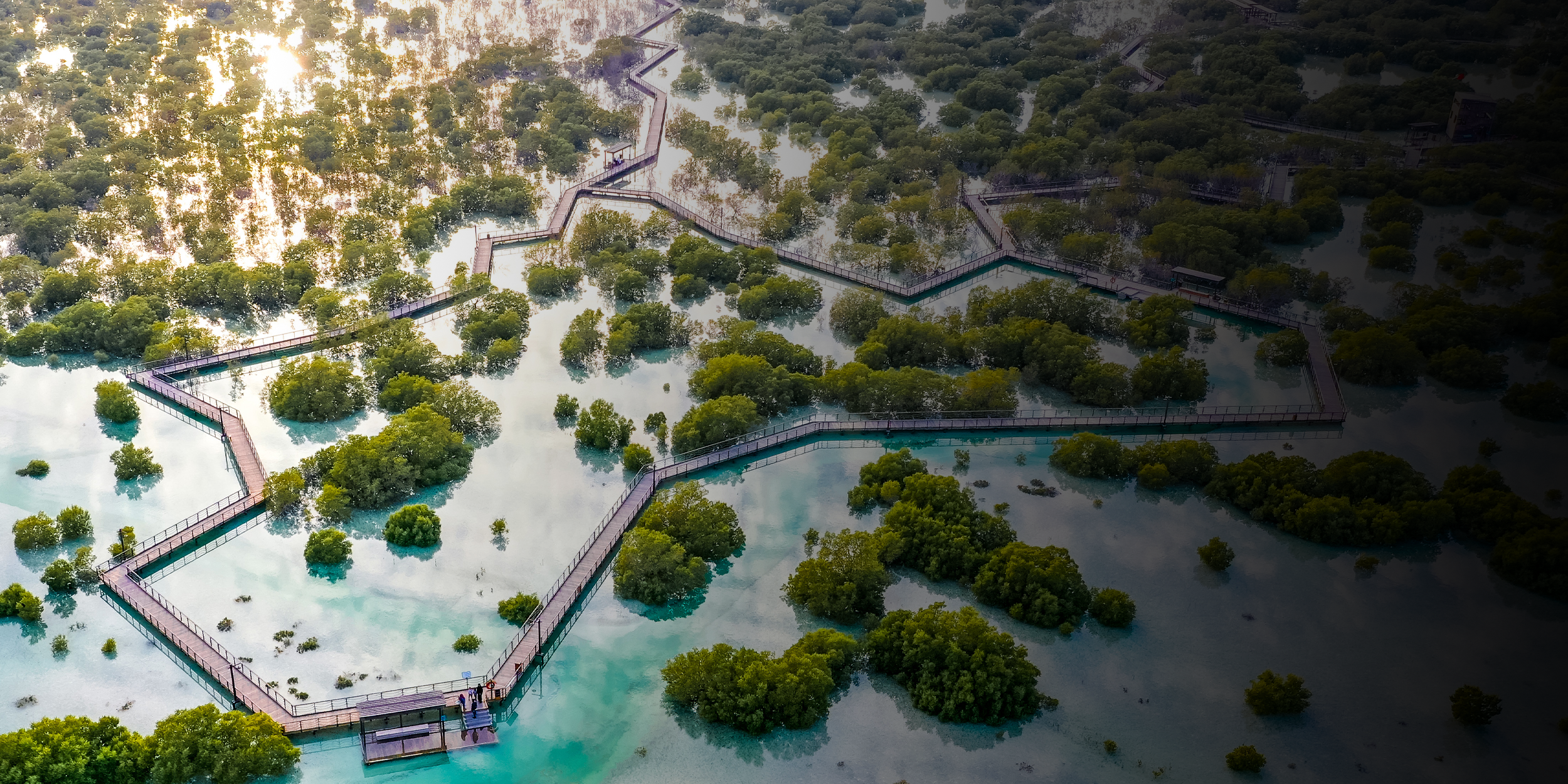 Promo  Fixed Deposits Account