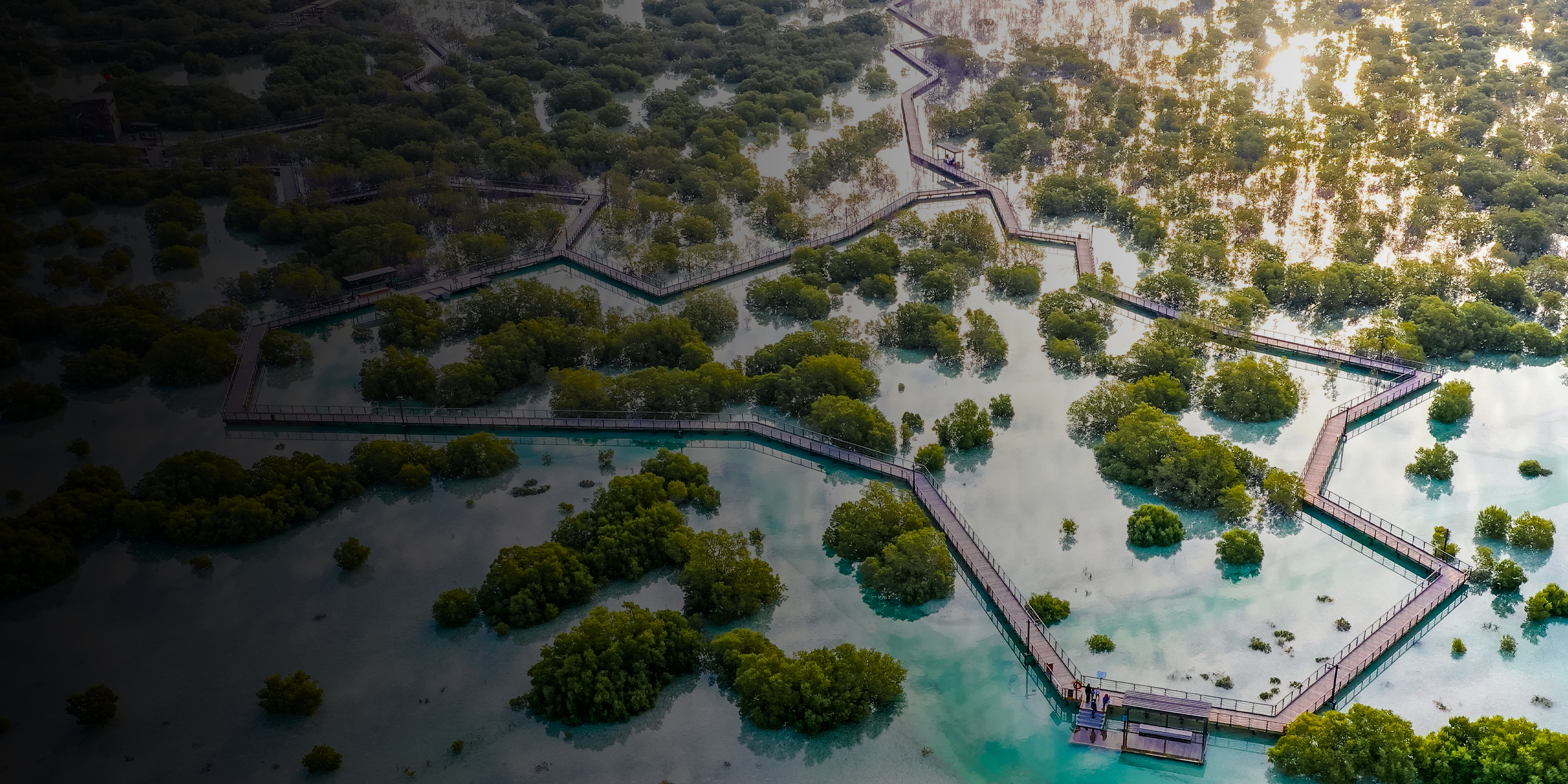 Promo  Fixed Deposits Account