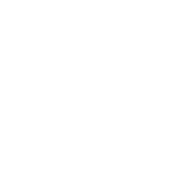 Wealth and Investment Advisors