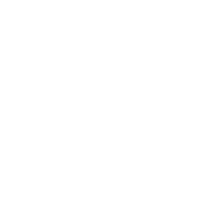 Auto Loan