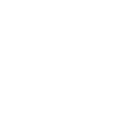 Auto Loan