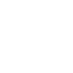 Contactless payments with digital wallet access