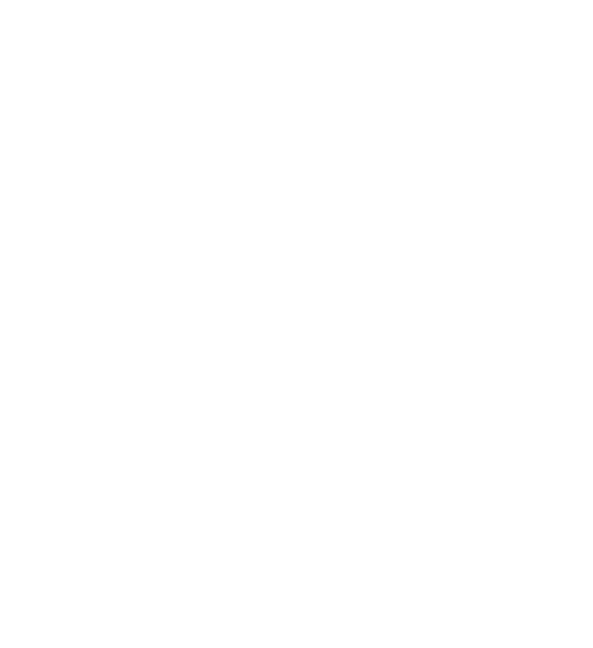 dp_cash_flow_day_credit