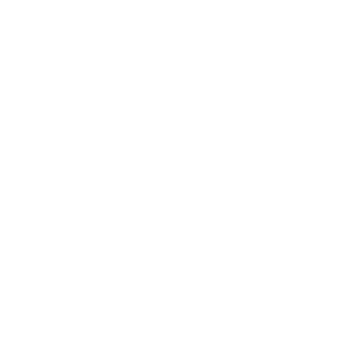 bonus-miles-white_icon