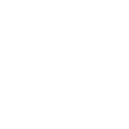 excess-baggage-allowance-white_icon