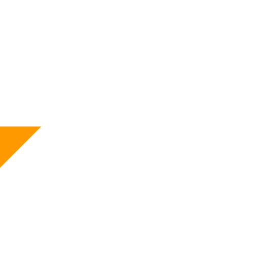 priority-check-in-white_icon