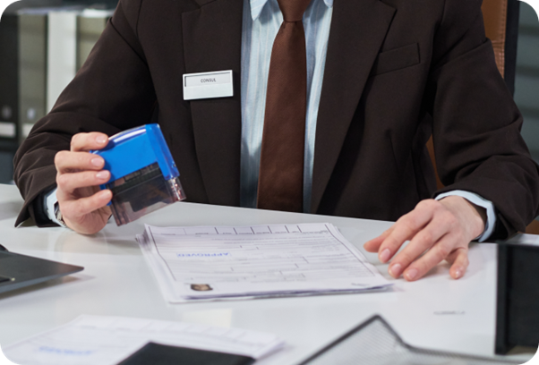 Visa services