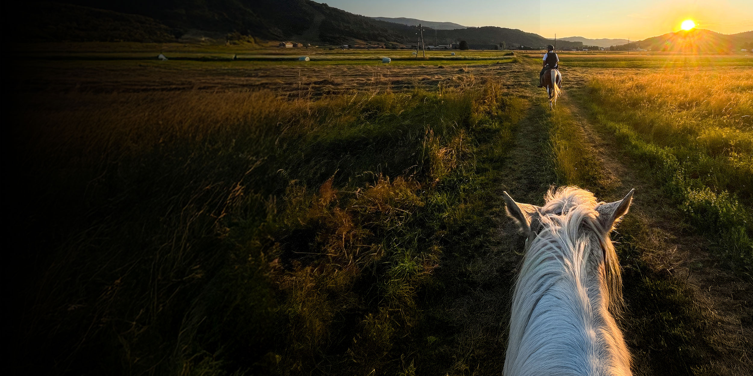 voyagerworldelitecreditcard