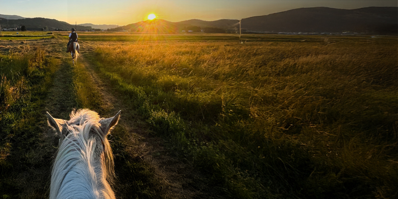بطاقات فويجر ماستركارد