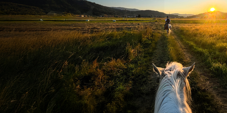 Voyager Mastercard Credit Cards