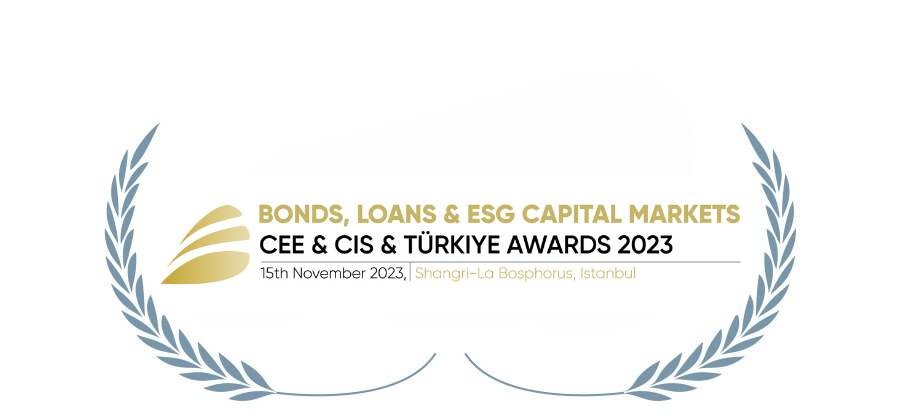 مؤسسة قروض الاستثمار المستدام لعام 2022