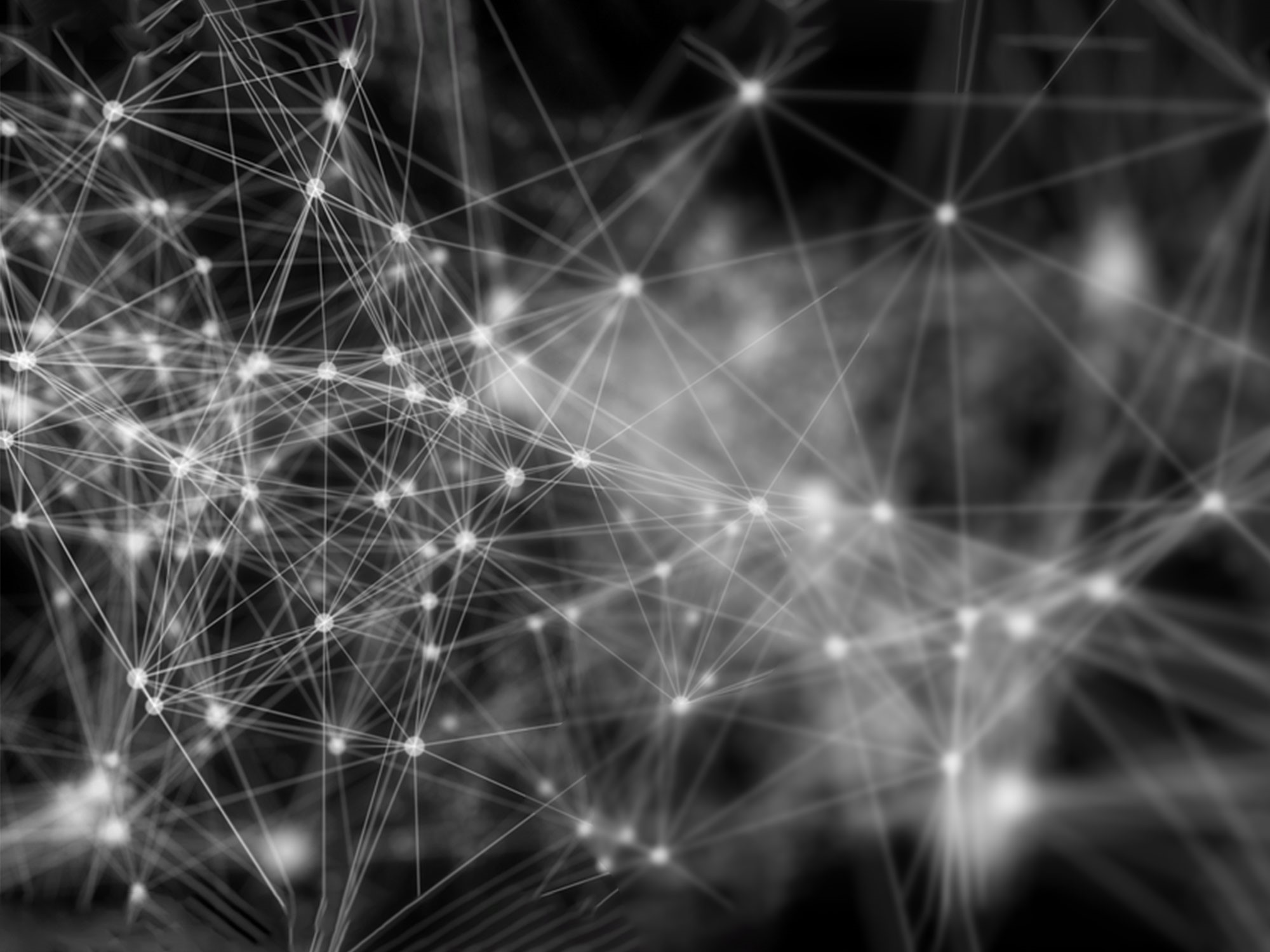 BannerWithHighLights