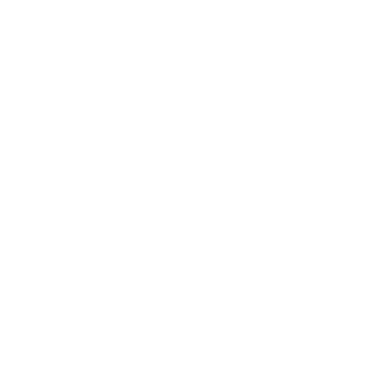 Tailored masterclasses and expert mentoring