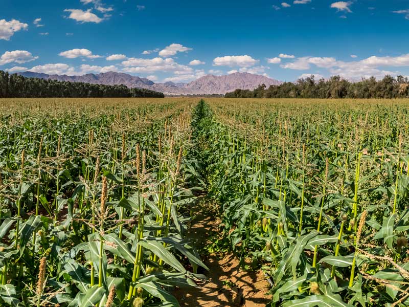 Advancing sustainability in Finance with comprehensive Emission Tracking across all three scopes