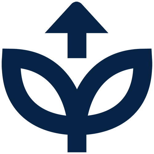 مراحل النمو الأولية 