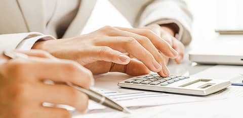 Public Debt Issuances