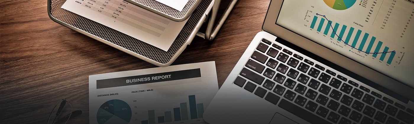 BannerWithHighLights  Public Debt Issuances