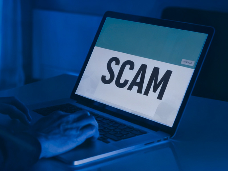 learntospotafakewebsite