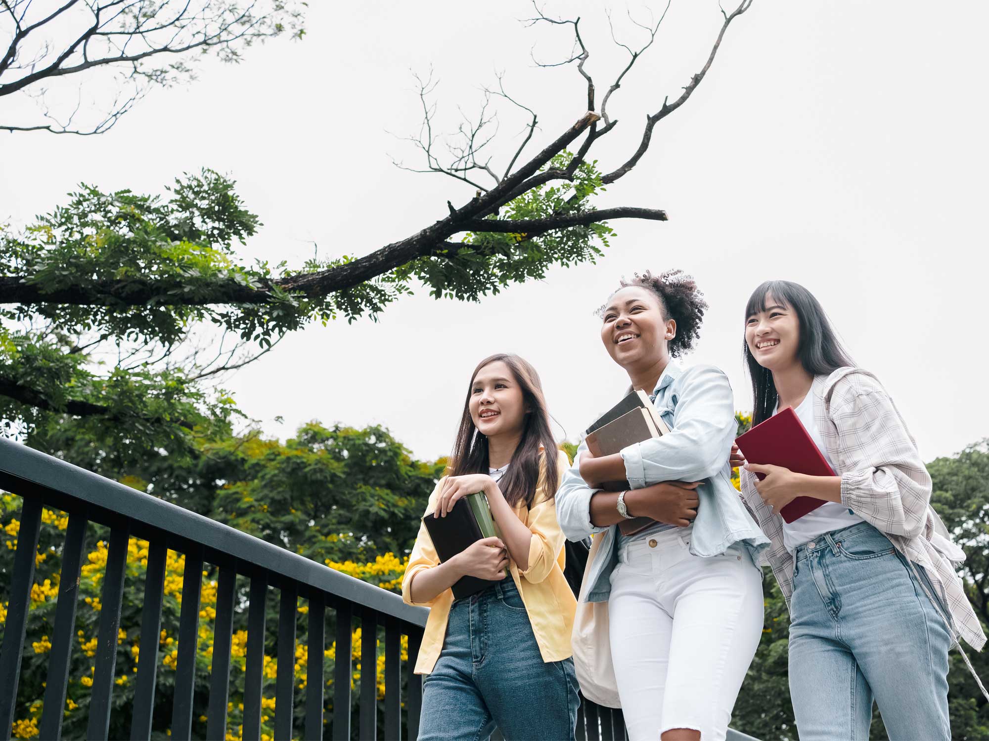 scholarpluseducationloan