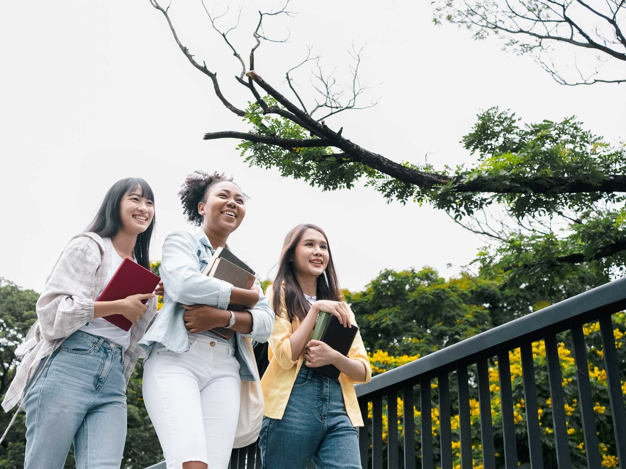 scholarpluseducationloan