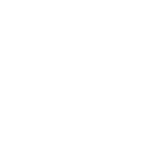 Priority queue tickets at branches