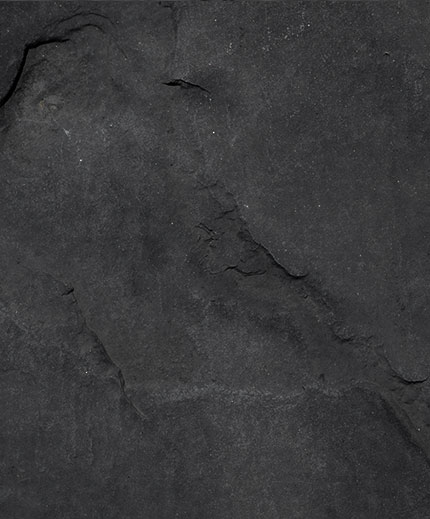 Our core Wealth Management offerings