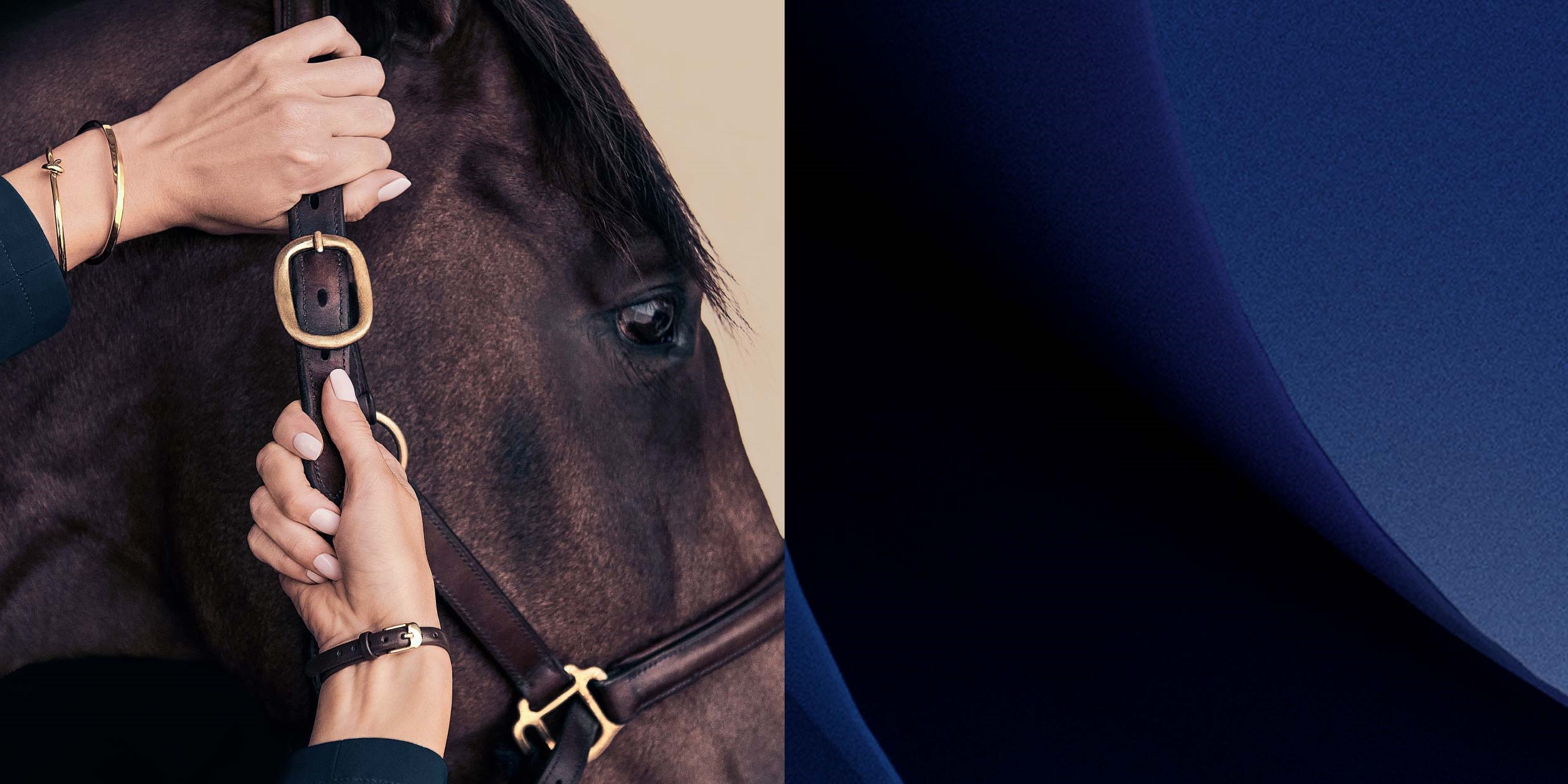 Investment Advisory Services