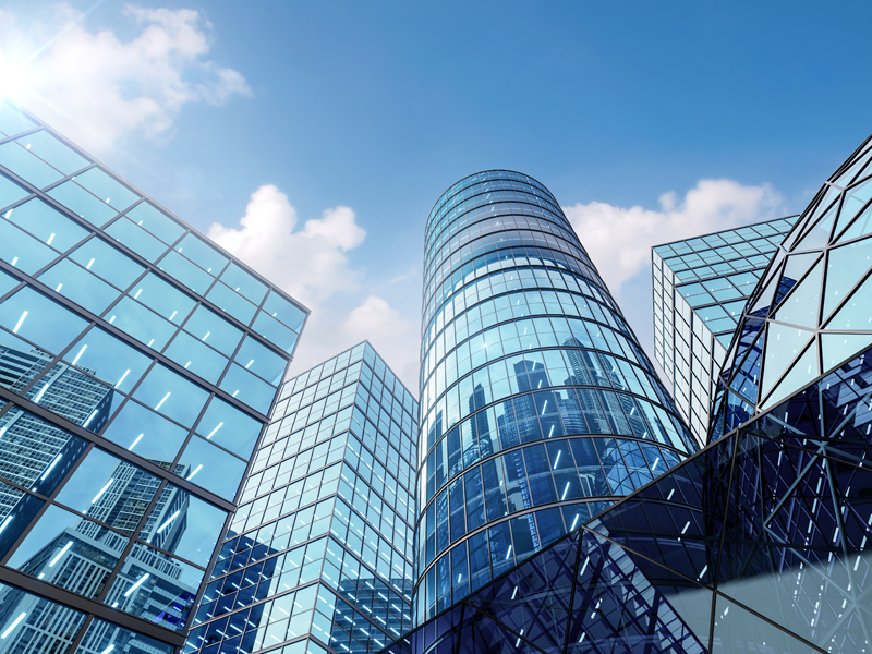 animmaculatedisintegration