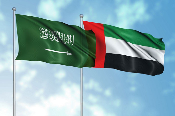 GCC Countries Economic Dynamism Attracts Investors and Wealth