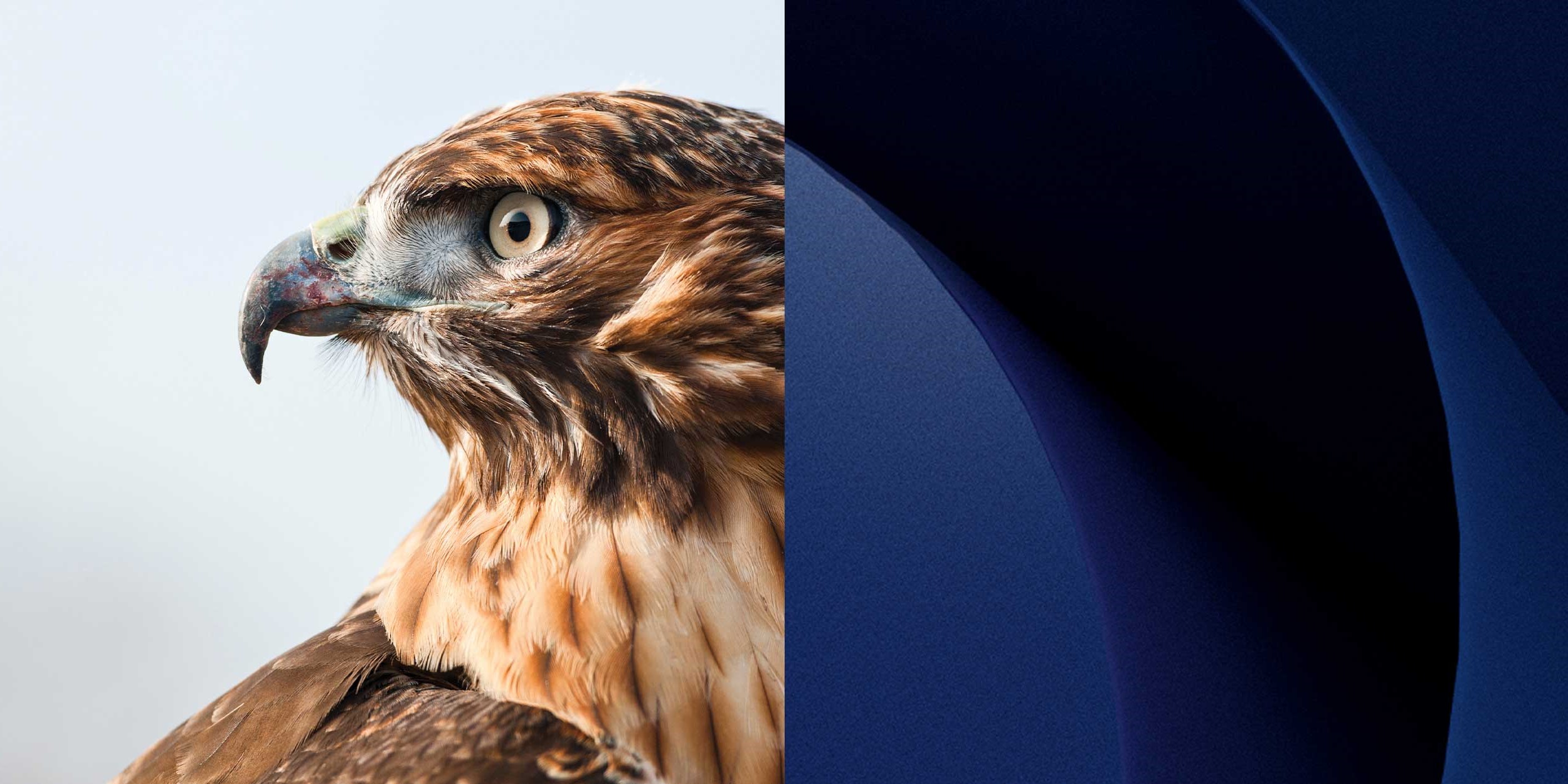 BannerWithHighLights