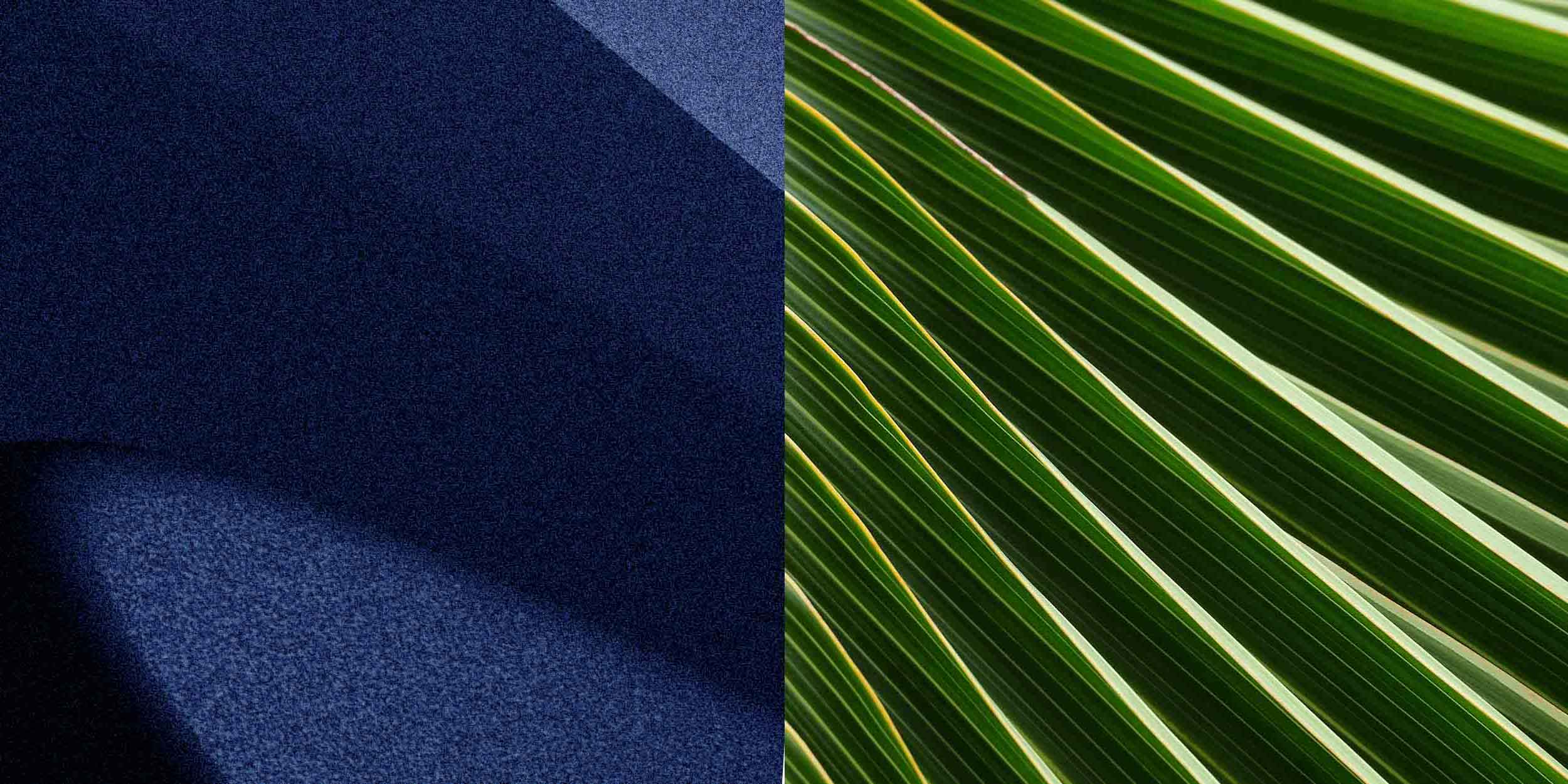 Inspire a greener future