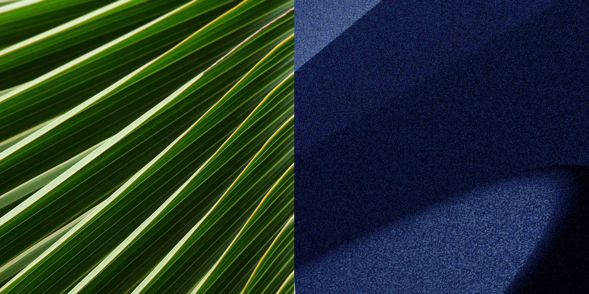 Inspire a greener future