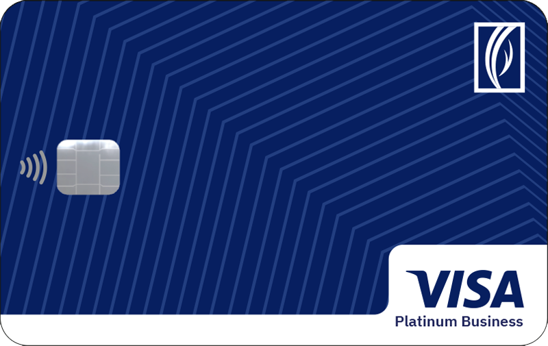 visaplatinumbusinessdebitcard