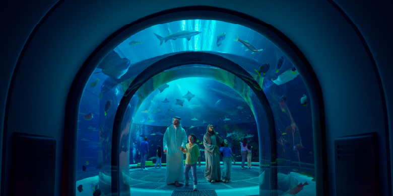 Miral Offer: Discounts at Yas Island Attractions