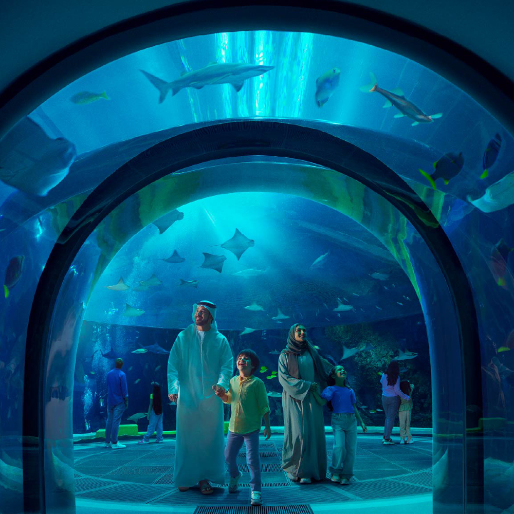 Earn 2 ways on 2-Night stays