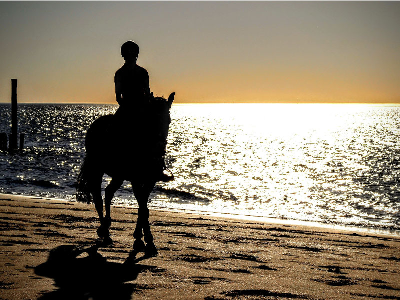 Earn 2 ways on 2-Night stays