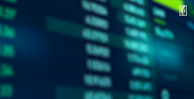 Video Component  popup